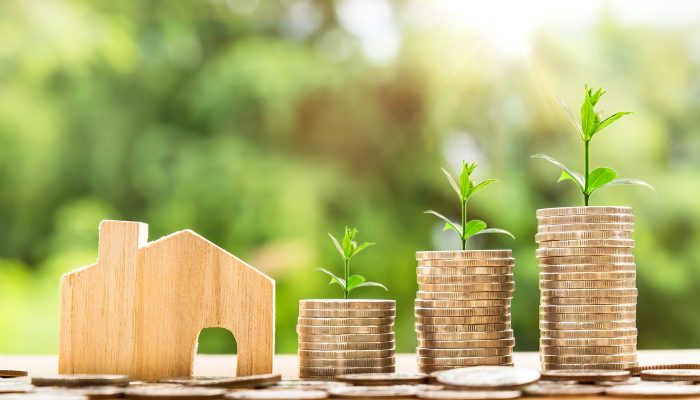 financial-advice financial-advice
